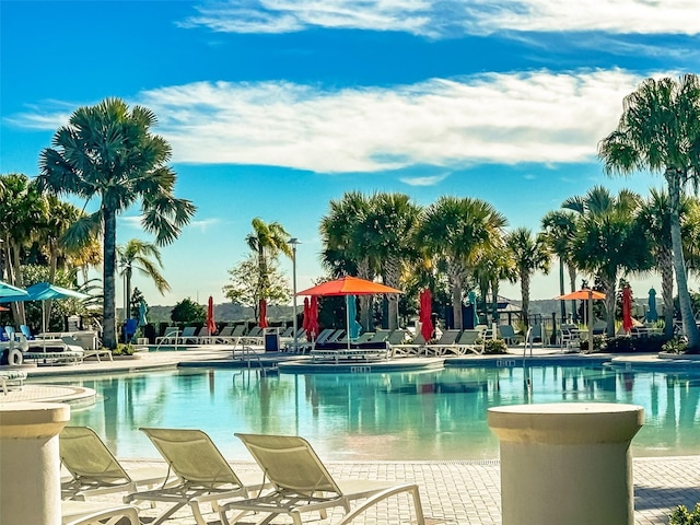 view of pool with a patio