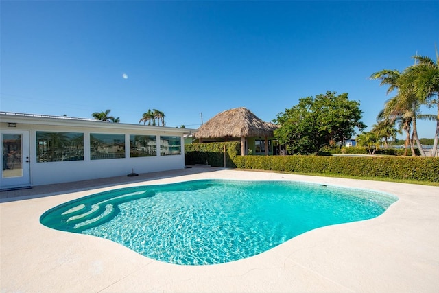 view of swimming pool with a patio area