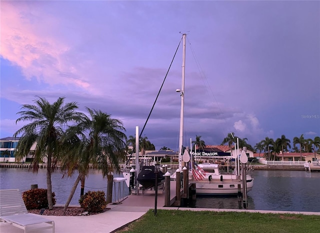 dock area with a water view