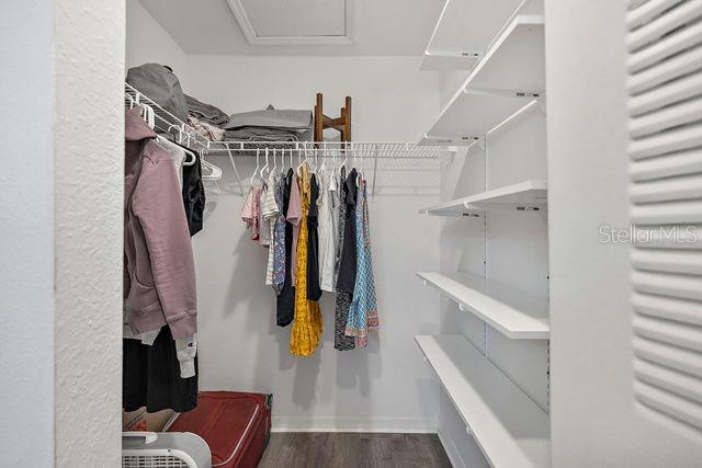 spacious closet with dark hardwood / wood-style floors