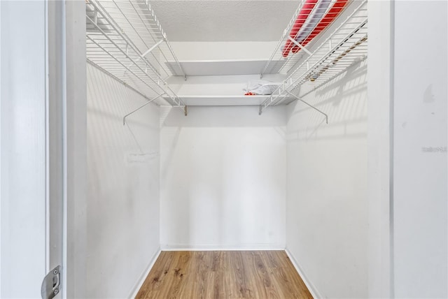 walk in closet with wood-type flooring