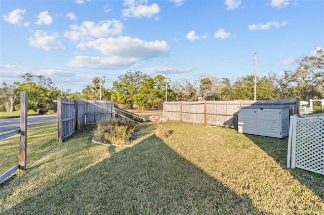 view of yard featuring a storage shed