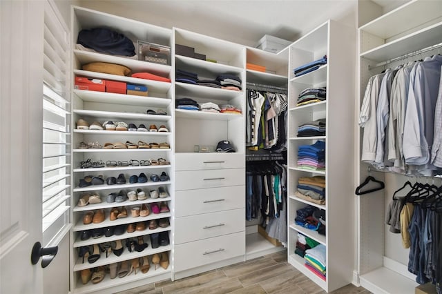 view of spacious closet