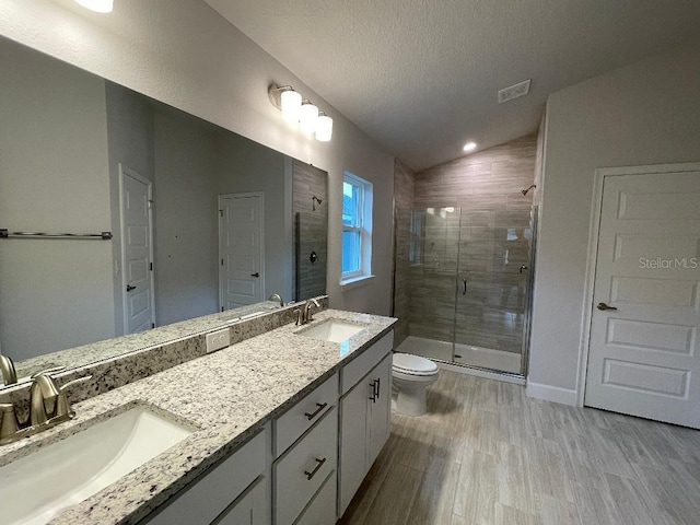 bathroom featuring vanity, lofted ceiling, toilet, a textured ceiling, and walk in shower