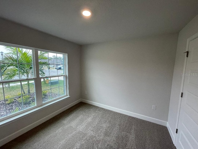 empty room featuring carpet floors