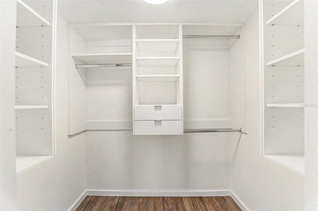 walk in closet featuring dark hardwood / wood-style flooring