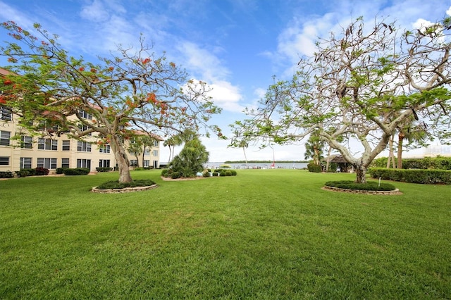 view of yard featuring a water view