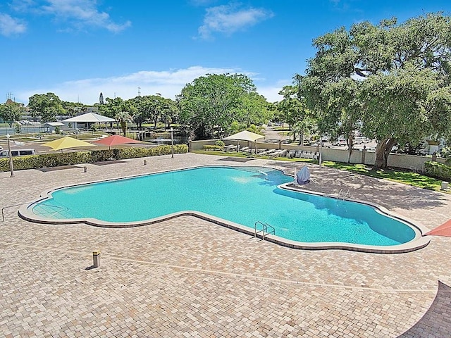 view of pool featuring a patio area