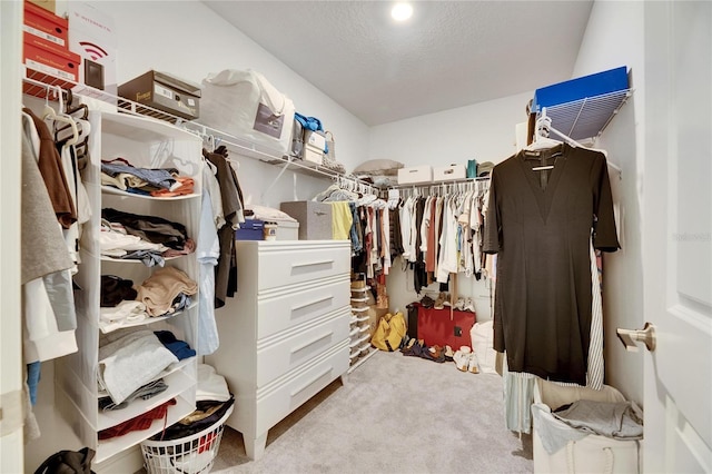 walk in closet with light carpet