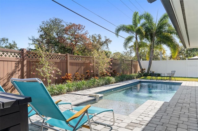 view of pool featuring a patio area