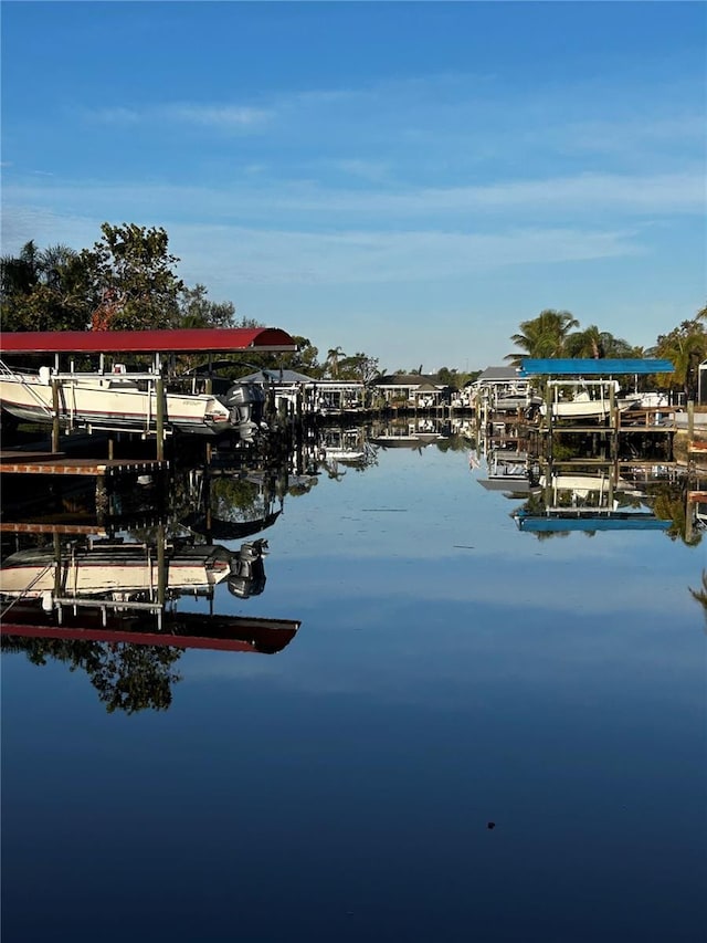 dock area with a water view