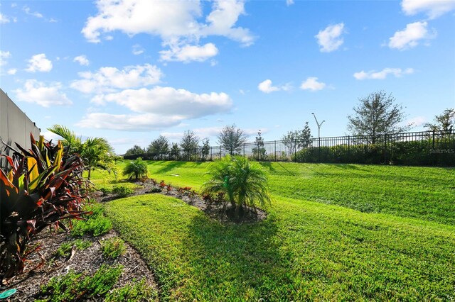 17702 Cresswind Ter, Bradenton, FL 34211 - view of yard
