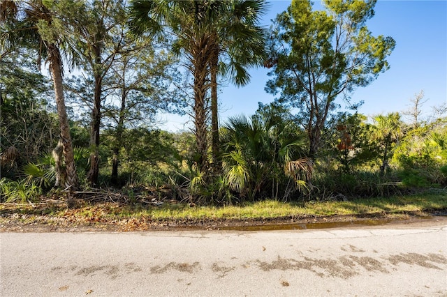 6170 S Westview Dr, Homosassa, FL 34448 - photo 2