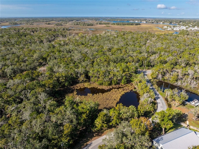 6170 S Westview Dr, Homosassa, FL 34448 - photo 8