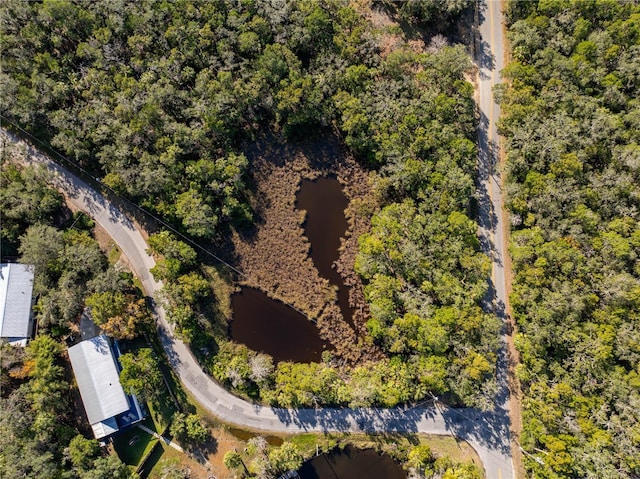 6170 S Westview Dr, Homosassa, FL 34448 - photo 10