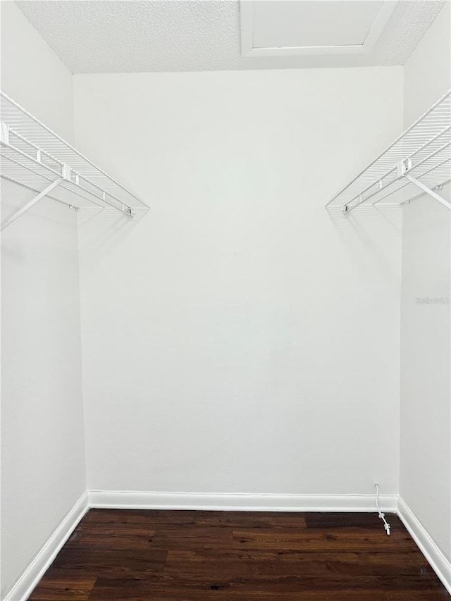 walk in closet with hardwood / wood-style floors