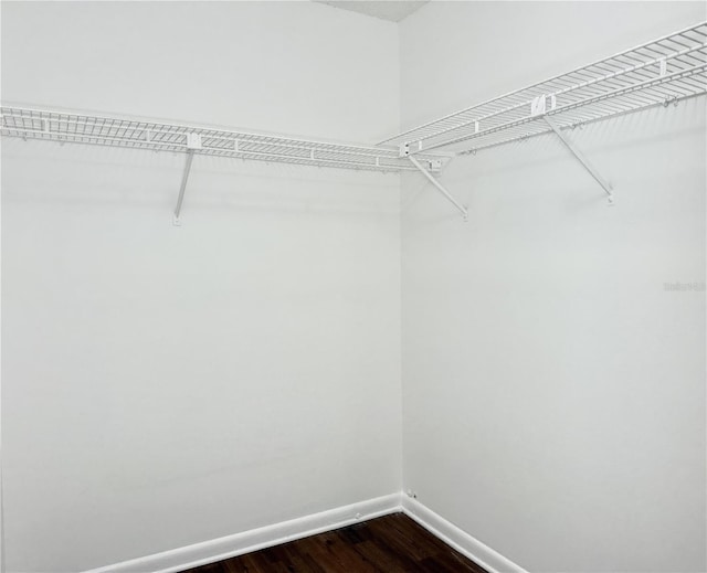 spacious closet featuring hardwood / wood-style floors