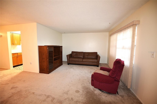 carpeted living room with a textured ceiling