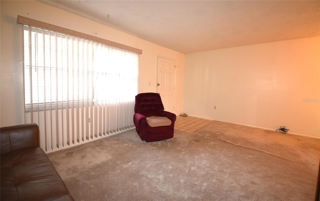 living area featuring light carpet and a wealth of natural light