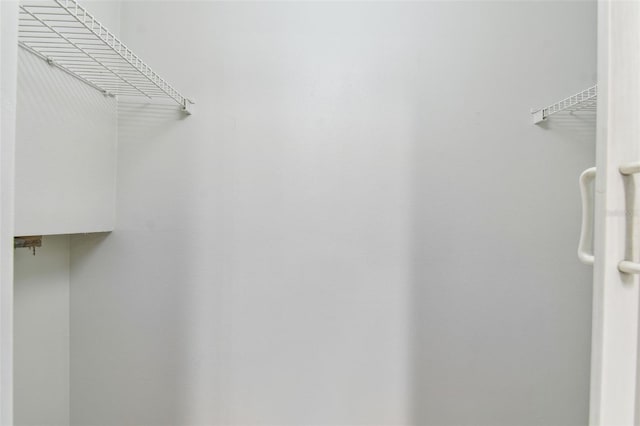 5606 Pinnacle Heights Cir Unit 304, Tampa, FL 33624 - view of walk in closet