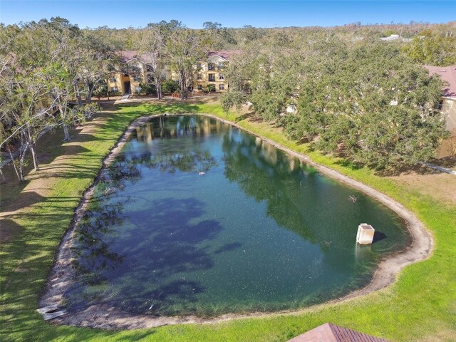 5606 Pinnacle Heights Cir Unit 304, Tampa, FL 33624 - aerial view of a large body of water