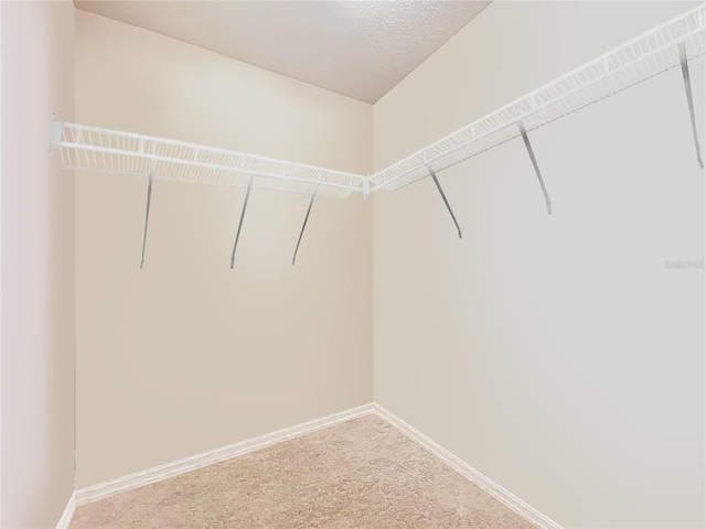 spacious closet with carpet flooring