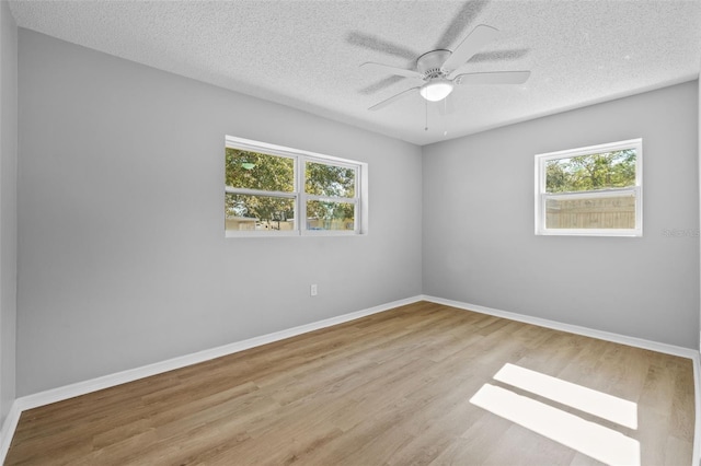 4923 Azalea Dr, New Port Richey, FL 34652 - photo 9