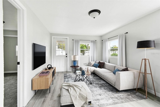 living room with hardwood / wood-style flooring