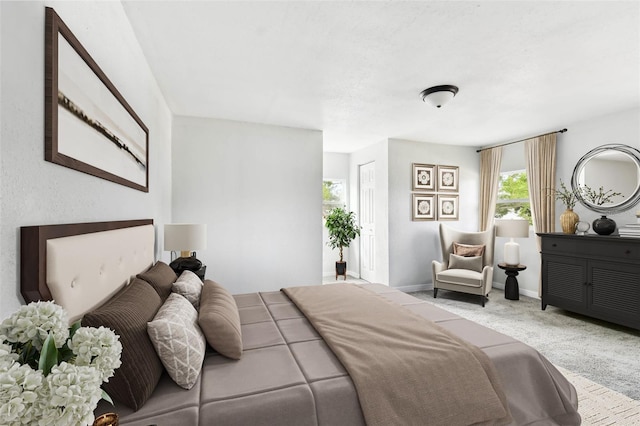 bedroom featuring multiple windows and light carpet