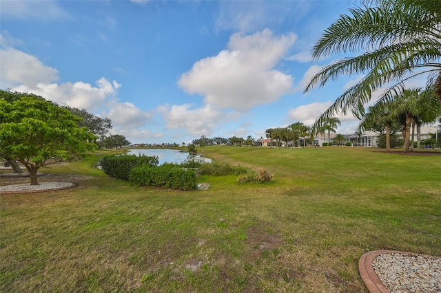 view of yard featuring a water view