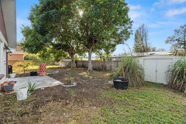 view of yard with a shed and a patio area