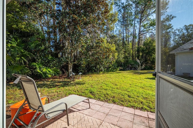 view of yard featuring a patio