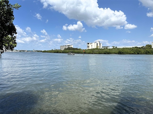 view of water feature