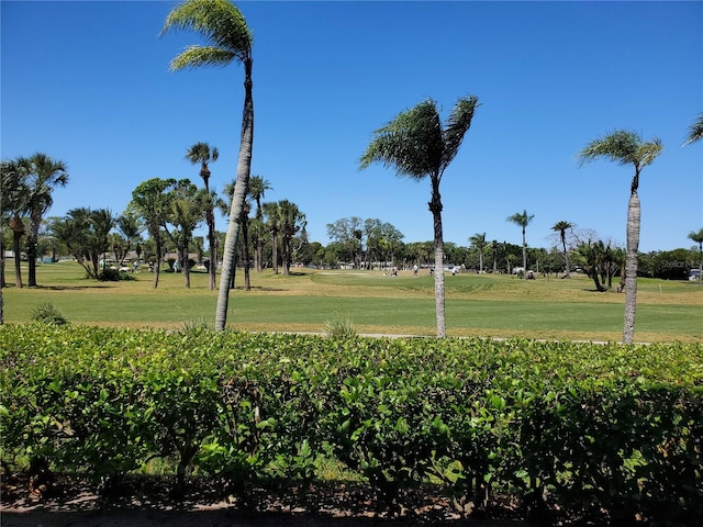 surrounding community featuring a lawn