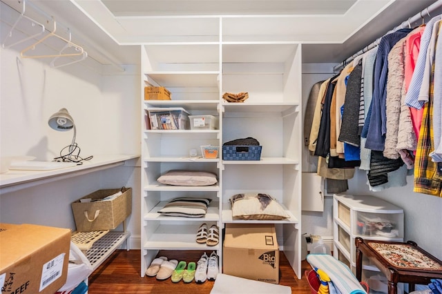 spacious closet featuring dark hardwood / wood-style flooring