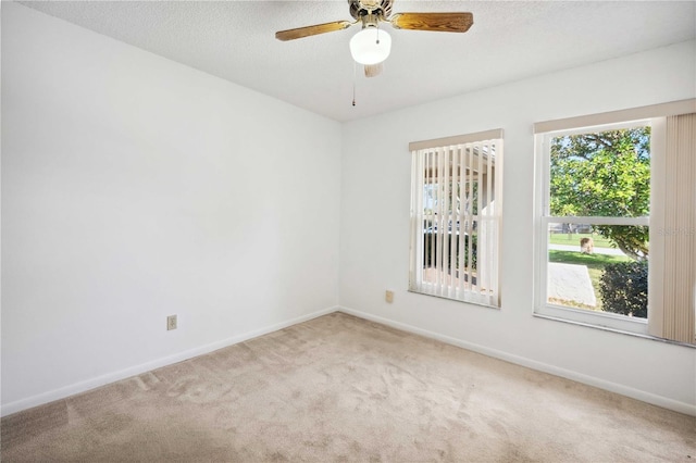 22368 Southshore Dr, Land O Lakes, FL 34639 - photo 29