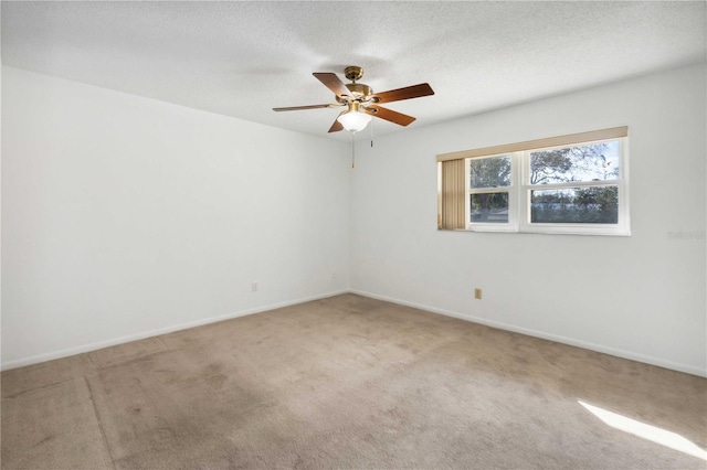 22368 Southshore Dr, Land O Lakes, FL 34639 - photo 36