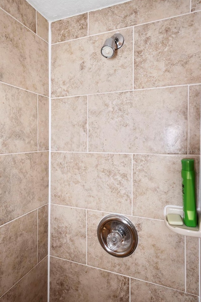 interior details with tiled shower