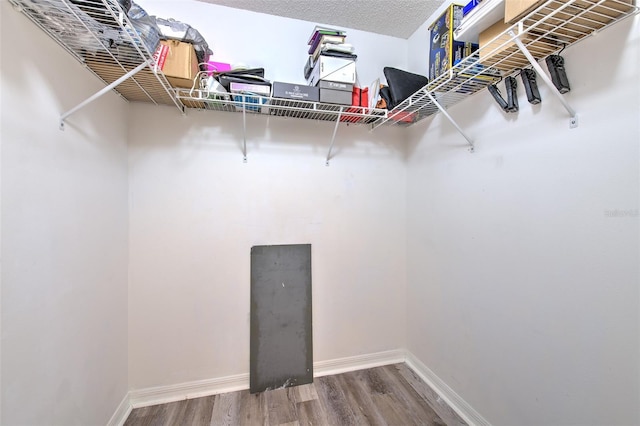 walk in closet featuring hardwood / wood-style floors