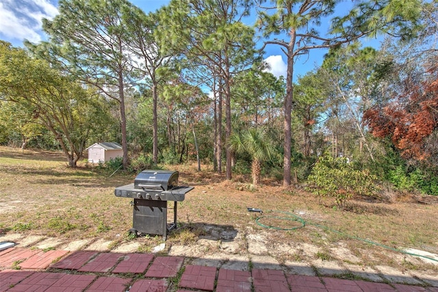 view of yard with a storage unit