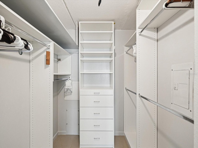 view of walk in closet