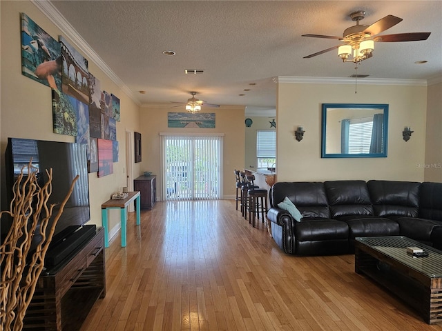 living room featuring ceiling fan, light hardwood / wood-style floors, crown molding, and a textured ceiling