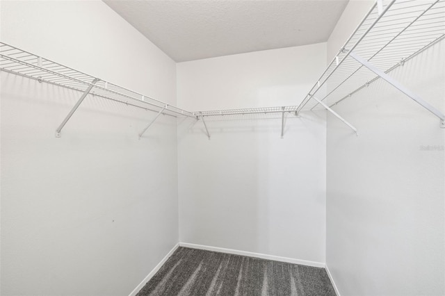 spacious closet with carpet floors