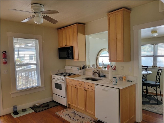 kitchen with white appliances, ceiling fan, a healthy amount of sunlight, dark wood-type flooring, and sink