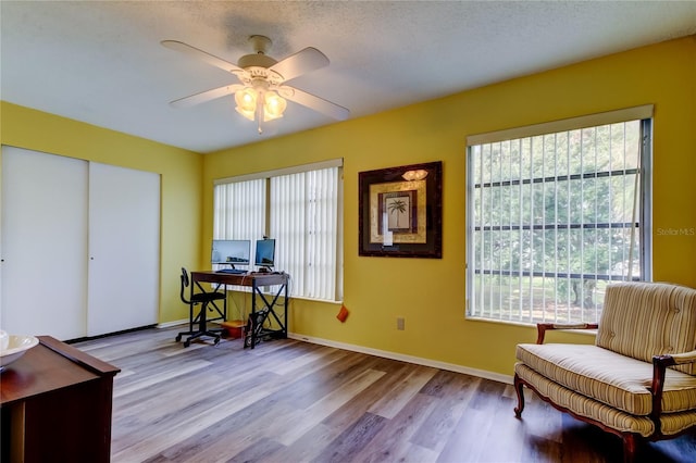 office area with ceiling fan, light wood-type flooring, and a textured ceiling