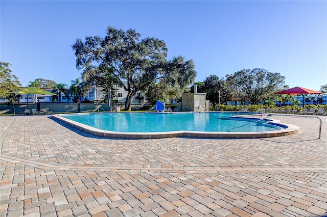 view of pool with a patio area