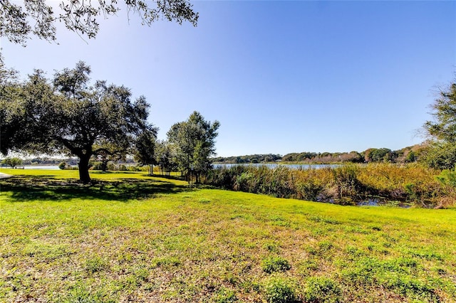 view of yard with a water view