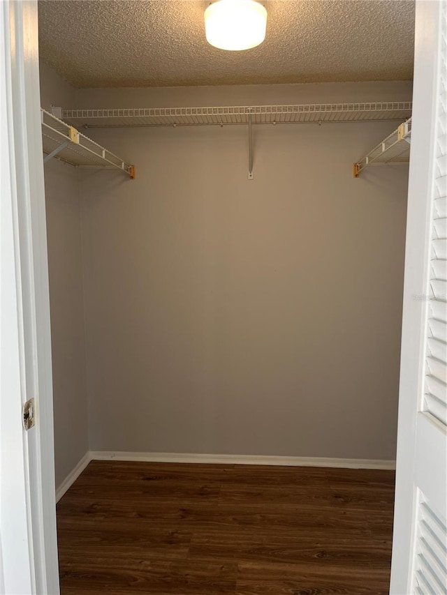 spacious closet with dark hardwood / wood-style floors