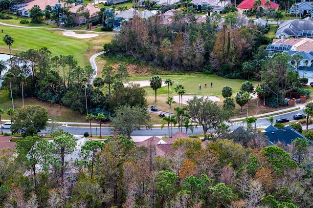 bird's eye view