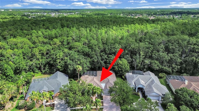 10106 Radcliffe Dr, Tampa, FL 33626 - view of property location with a heavily wooded area and nearby suburban area